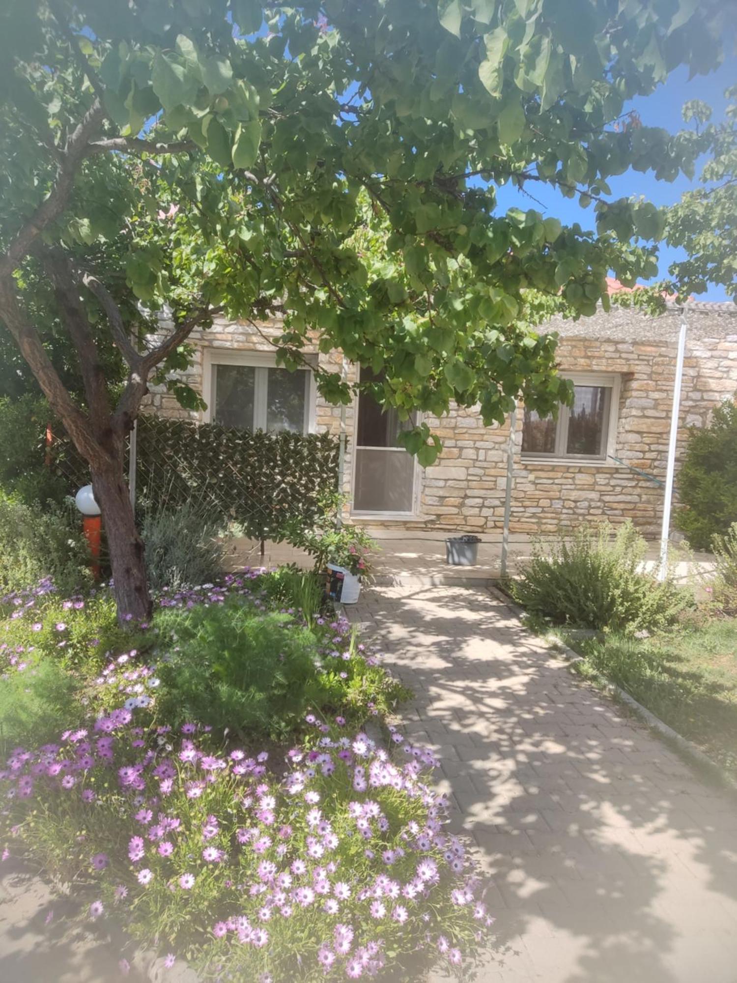 Petra Houses 포토스 외부 사진